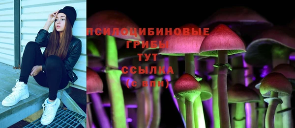 ECSTASY Аркадак