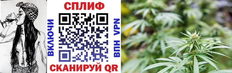 наркошоп Бобров Бошки Шишки LSD WEED